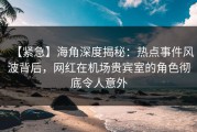 【紧急】海角深度揭秘：热点事件风波背后，网红在机场贵宾室的角色彻底令人意外