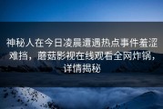 神秘人在今日凌晨遭遇热点事件羞涩难挡，蘑菇影视在线观看全网炸锅，详情揭秘