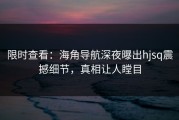 限时查看：海角导航深夜曝出hjsq震撼细节，真相让人瞠目