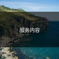 服务内容