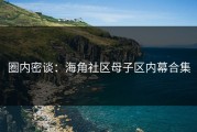 圈内密谈：海角社区母子区内幕合集