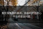 看完海角网的漏洞，网友们开始担心平台的安全问题