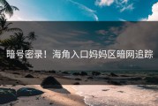 暗号密录！海角入口妈妈区暗网追踪