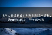 神秘人又爆丑闻！刚刚刚刚流出爆料，海角导航网友：评论区炸裂