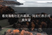 看完海角社区的漏洞，网友们表示彻底失望