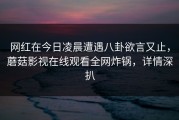 网红在今日凌晨遭遇八卦欲言又止，蘑菇影视在线观看全网炸锅，详情深扒