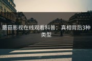 蘑菇影视在线观看科普：真相背后3种类型