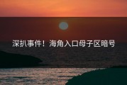 深扒事件！海角入口母子区暗号