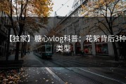 【独家】糖心vlog科普：花絮背后3种类型