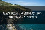 明星又爆丑闻！今晚刚刚流出爆料，海角导航网友：引发众怒