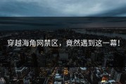 穿越海角网禁区，竟然遇到这一幕！
