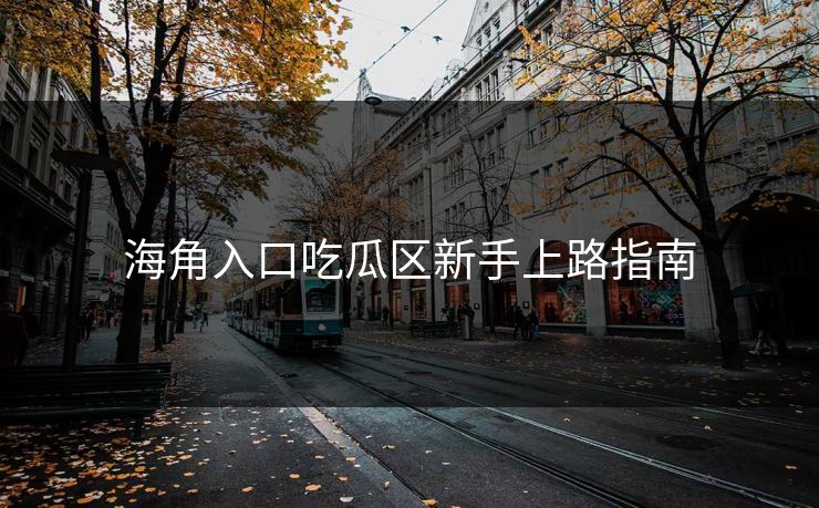 海角入口吃瓜区新手上路指南