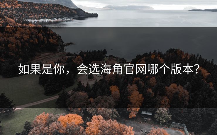 如果是你，会选海角官网哪个版本？