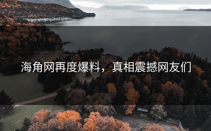 海角网再度爆料，真相震撼网友们