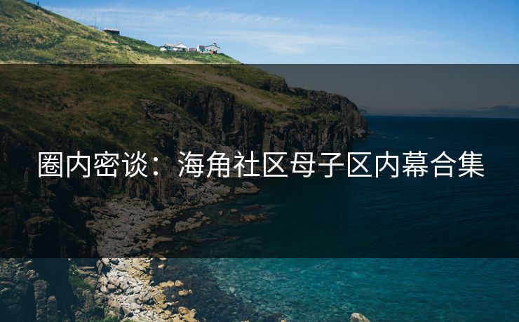 圈内密谈：海角社区母子区内幕合集