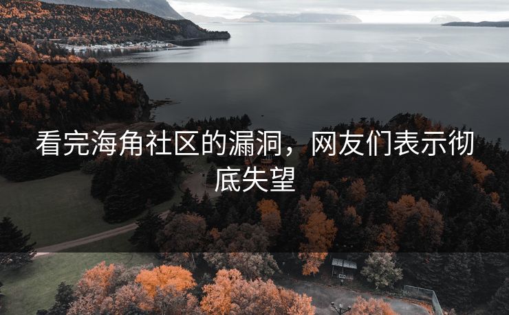 看完海角社区的漏洞，网友们表示彻底失望