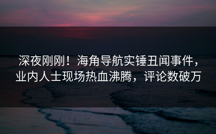 深夜刚刚！海角导航实锤丑闻事件，业内人士现场热血沸腾，评论数破万