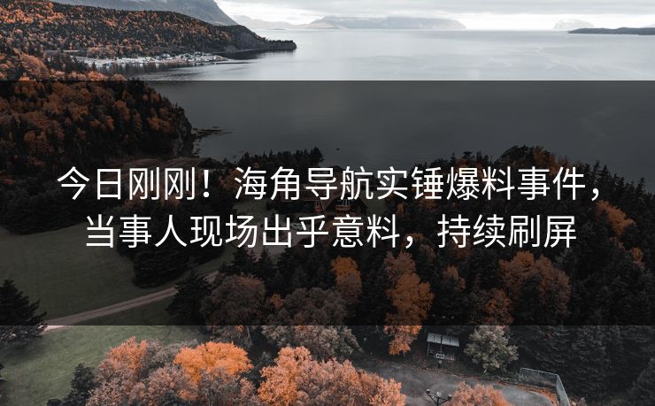 今日刚刚！海角导航实锤爆料事件，当事人现场出乎意料，持续刷屏