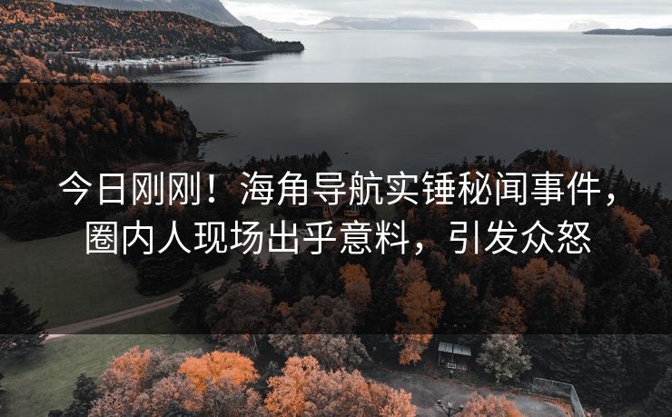 今日刚刚！海角导航实锤秘闻事件，圈内人现场出乎意料，引发众怒