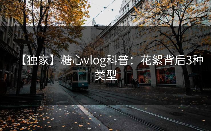 【独家】糖心vlog科普：花絮背后3种类型